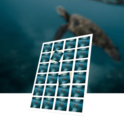 Square Stickers
